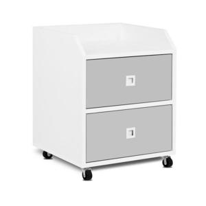 Dulăpior de depozitare pentru copii MIRUM 54, 2x42, 4 cm alb/gri imagine