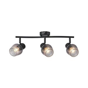 Spot Prezent 14102 OASIS 3xE27/60W/230V negru/fumuriu imagine