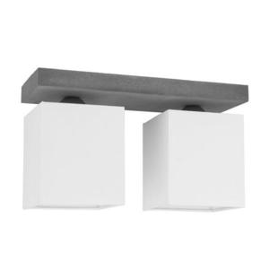 2241236 - Plafonieră GREAT 2xE27/25W/230V beton imagine