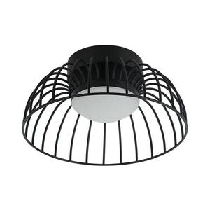 Plafonieră LED BETSY, 12 W, 230 V, Ø 25 cm, negru imagine