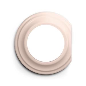 lap - Ramă retro de capăt roz prăfuit imagine