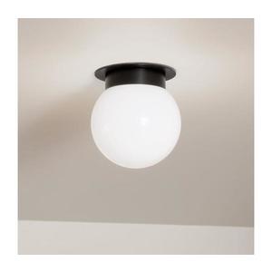 Kichler KL-ALBERS-F-G-BK - Plafonieră ALBERS 1xE27/40W/230V Ø 20, 3 cm neagră imagine