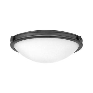 Hinkley HK-COLLIER-F-M-BX - Plafonieră COLLIER 3xE27/40W/230V Ø 48, 3 cm imagine