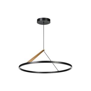 Rabalux 72352 - Lustră LED pe cablu RENARA LED/40W/230V 3000K imagine