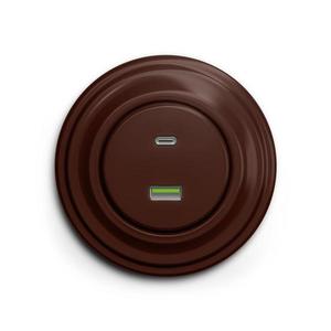 lap - Priză retro USB-A și USB-C cu ramă, maro imagine