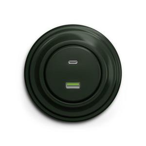 lap - Priză USB retro A+C cu ramă, verde imagine