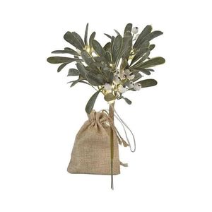 Decorațiune LED de Crăciun, 14 LED-uri, alimentare 2x AA imagine