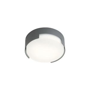 Redo 90003 - Plafonieră LED exterior SKOR LED/12W/230V IP54 gri imagine