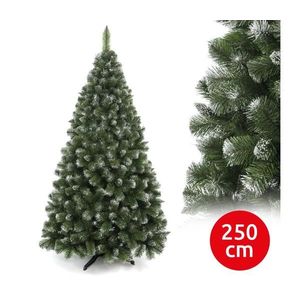 Brad de Crăciun din pin, înălțime 250 cm imagine