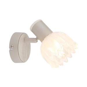 Globo 54317-1 - Aplica spot de perete PLANTA, 1xE14/40W/230V imagine