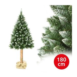 Brad de Crăciun pe trunchi 180 cm, pin imagine