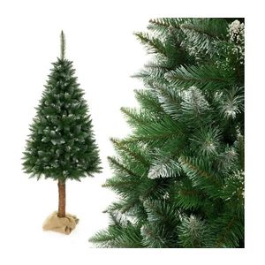 Brad de Crăciun pe trunchi 180 cm, molid imagine