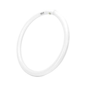 Tub fluorescent T9 G10q/40W/230V 6500K - imagine