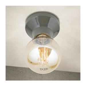 Orion - Plafonieră FROST 1xE27/60W/230V, gri imagine