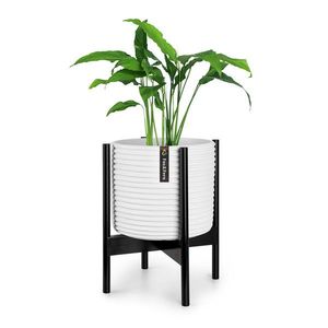 Fox & Fern Zeist, suporturi pentru flori, 2 înălțimi, combinabile, design plug-in, naturale imagine