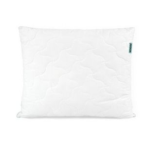 Wendre Pernă Aloe Vera, 70 x 80 cm imagine