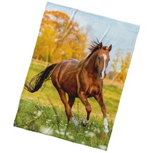 Pătură din microfibră BedTex Caipe pajiște, 150 x 200 cm imagine