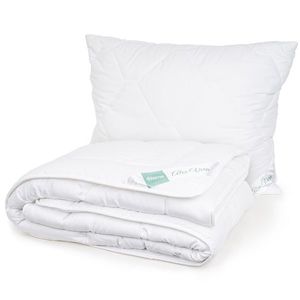 Set pilotă și pernă Aloe Premium, 140 x200 cm, 70 x 90 cm, 140 x 200 cm, 70 x 90 cm imagine