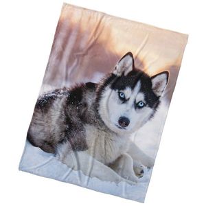 Pătură din microfibră BedTex Câine Siberian Husky, 150 x 200 cm imagine