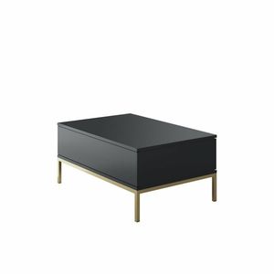 Măsuță de cafea Lord Anthracite and Gold, antracit imagine