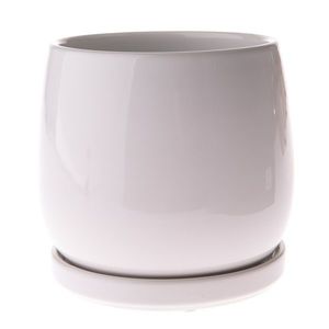 Ghiveci ceramic cu farfurie Sophistic alb, 15 x15, 5 cm imagine