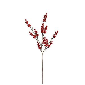 Ramură cu boabe roșii imagine