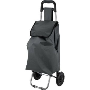 Geantă de cumpărături cu roți 33 l, 53 x 31 x 18cm, gri, gri imagine