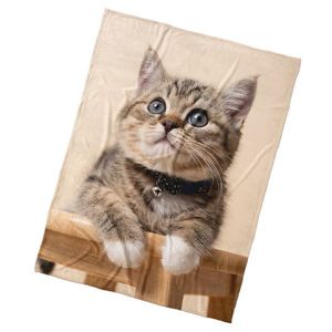 Pătură pentru copii BedTex Pisicuță Zornăitoare, 150 x 200 cm imagine