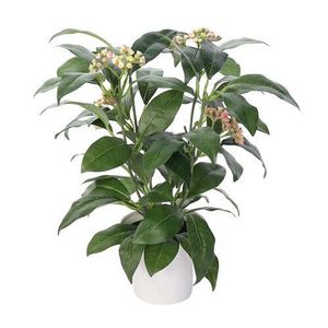 Ficus artificial în ghiveci, verde, 30 cm imagine