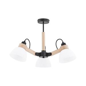 Lustră DANTONA aplicată pe tavan, 3xE27/15W/230V, negru/bej imagine