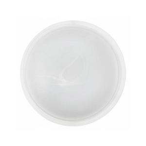 Eglo - Sticlă de schimb pentru plafoniera SALOME, Ø 40 cm imagine