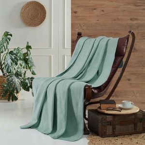 Pătură pentru televizor Brighton Cotton mentol, 130 x 170 cm, mentol imagine