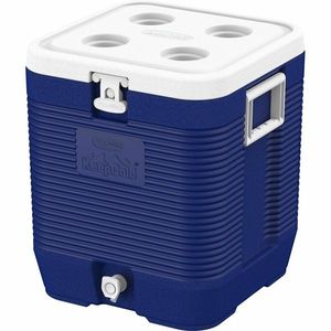 Duramax Cutie frigorifică Keep Cold 35 l imagine