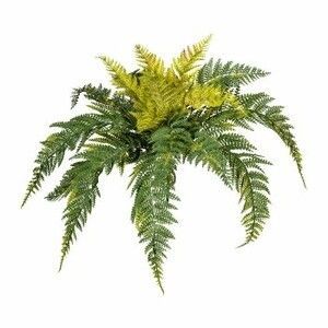 Planta artificială ferigă de Boston, verde imagine