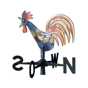 Plastia Cocoș vânt Plastia imagine