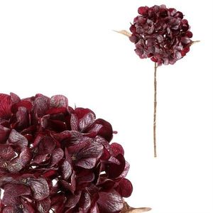 Hortensie artificială tăiată, roșie cu auriu, 65cm, roșu imagine