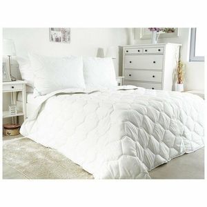 Set pernă și pilotă B.E.S. Petrovice BellaOptimal Aloe vera, 140 x 200 cm, 70 x 90 cm imagine