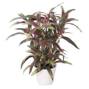 Aucuba artificială, în ghiveci, verde - violet, 32 cm imagine