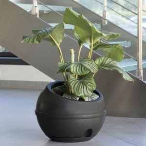 Mască de ghiveci din plastic Bama Sfera antracit, 41 x 32 cm imagine