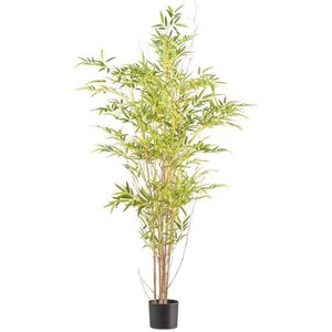 Planta artificială Bambus, 150 cm, verde imagine