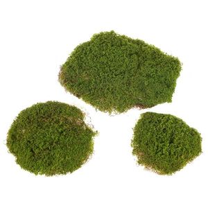 Decorațiune artificială Mușchi verde, 27 x 36 x 5cm imagine