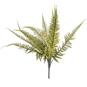 Ferigă artificială, 11 frunze imagine