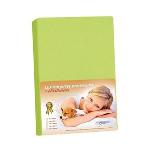 Cearșaf din jersey cu elastan verde, verde, 160 x 200 cm imagine