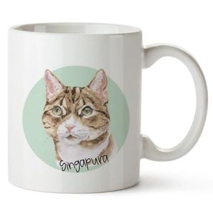 Bohemia Gifts Cană ceramică - Singapura, 350 ml imagine