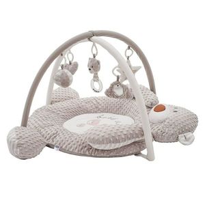 Pătură de joacă de lux PlayTo din Minky cu ursuleț Melody imagine