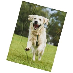 Pătură din microfibră BedTex Câine GoldenRetriever, 150 x 200 cm imagine