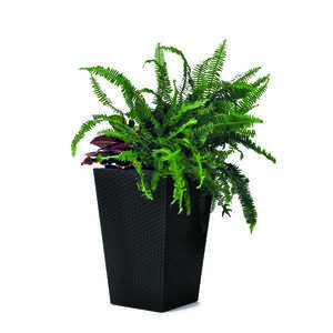 Recipient de ghiveci Ketter Rattan Planter, antracit, 23, 6 l, 29 x 44 x 29 cm imagine