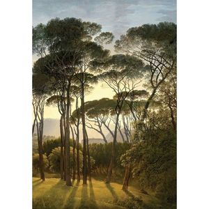 Fototapet Old Trees 180 x 255 cm, 2 părți imagine