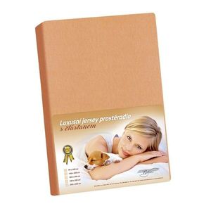 Cearșaf din jersey cu elastan, somon, 200 x 220 cm, somon, 200 x 220 cm imagine