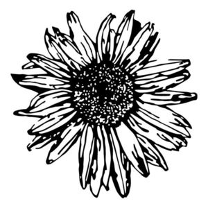 Decoratiune de perete, Daisy 2, Tanelorn, 70x70 cm, metal imagine